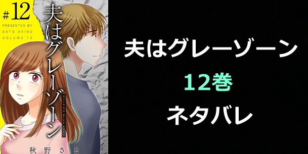 夫はグレーゾーン-12巻ネタバレ